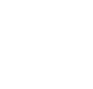 PWHL Ottawa white logo